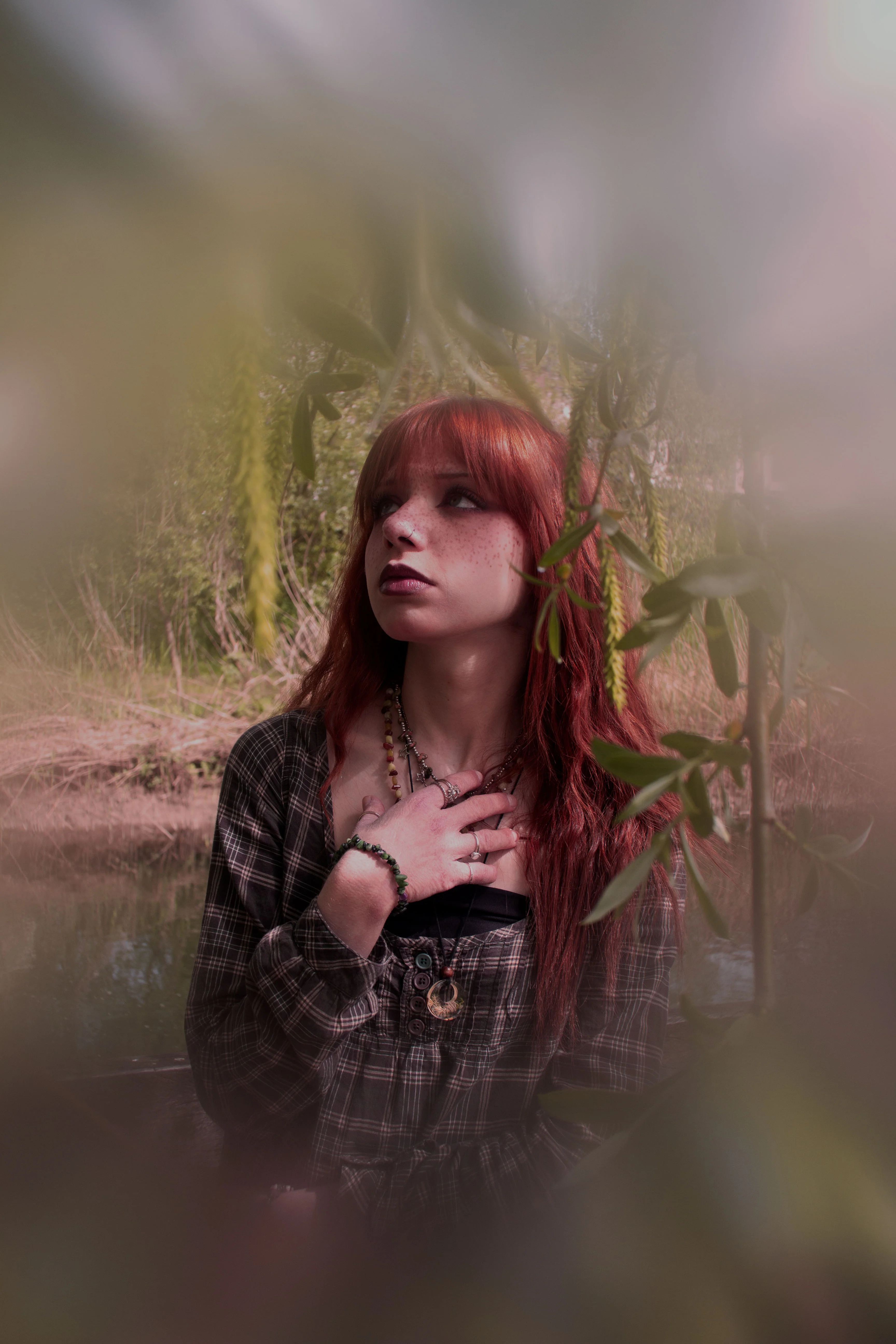 Alexia